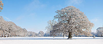 西班牙篮球联赛季后赛，马德里竞技实力出众